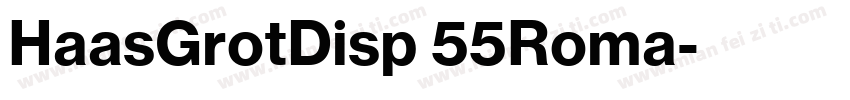 HaasGrotDisp 55Roma字体转换